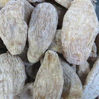 麗江特級紅天麻