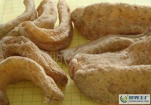 供應產地直供深山優質出口級干天麻!_醫藥、保養_世界工廠網中國產品信息庫