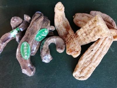 決定天麻質(zhì)量的四個核心因素