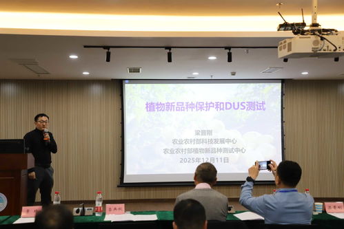 以技術創(chuàng)新驅動產(chǎn)業(yè)升級 全國馬鈴薯種業(yè)高質量發(fā)展交流會在渝召開，共探農(nóng)業(yè)科技研發(fā)新路徑